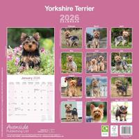 Yorkshire Terrier Kalender 2026 - thumbnail