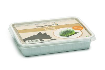 BZ KATTENGRAS IN PLASTIC BOX 130G BZ KATTENGRAS IN PLASTIC BOX 130G