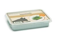 Kattengras in plastic box - thumbnail