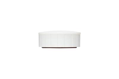 MAUL magneet Solid, 38 mm, trekkracht 2,5 kg, doos van 10 stuks, wit MAUL magneet Solid, 38 mm, trekkracht 2,5 kg, doos van 10 stuks, wit