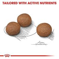 Royal Canin Medium Digestive Care hondenvoer 2 x 3 kg - thumbnail