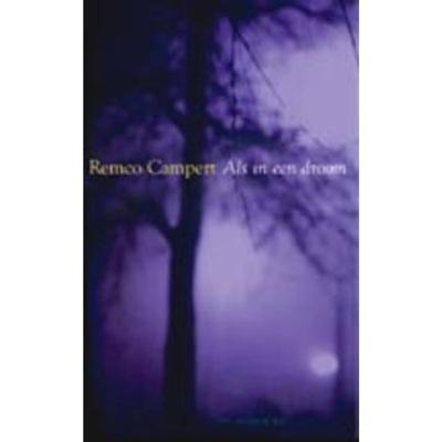 Als in een droom (Hardback)