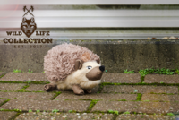 Wild Life Dog Hedgehog (Egel) - thumbnail