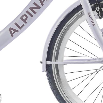 Alpina spatbord set 22 clubb frosty pink matt