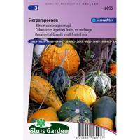 Cucurbita Pepo zaden Sierkalebas sierpompoen - thumbnail