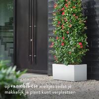 Elho Vivo Next Long 60 Bloembak - Wit - L 59 x B 30 x H 29 cm - binnen/buiten - 100% gerecycled - thumbnail