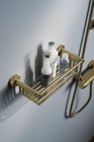 Haceka Kosmos Douchemand - 35x14x10cm - geborsteld goud 2010978 - thumbnail