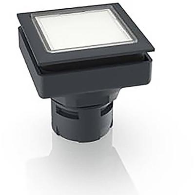 RAFI 1.30.090.001/1000 1.30.090.001/1000 Verlichte druktoets (l x b x h) 24.9 x 24.9 x 26.2 mm 1 stuk(s)