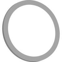 Bachmann 926.206 Afdekschijf RVS 25 stuk(s) - thumbnail