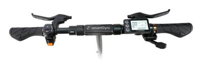 Elektrische Step Smartgyro Zwart 800 W