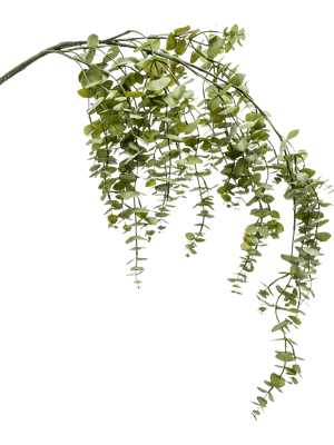 Eucalyptus hanging vine green 120 cm kunstbloem zijde nepbloem Emerald - Emerald Eucalyptus hanging vine green 120 cm kunstbloem zijde nepbloem Emerald - Emerald