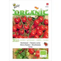 Biologische Kerstomaten Cerise - thumbnail