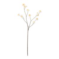 Zinna Kunstbloem Vertakt 110cm Creme - thumbnail