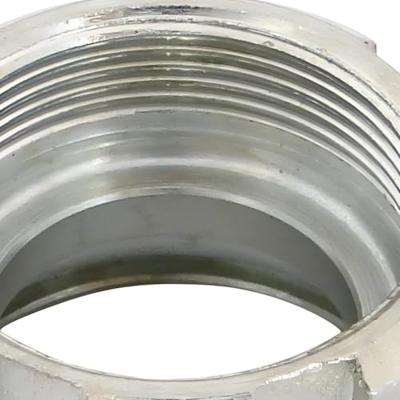 MZA Wartelmoer kalotte s53