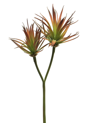 Agave plant pick x2 red 64cm Nova Nature - Nova nature