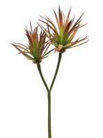 Agave plant pick x2 red 64cm Nova Nature - Nova nature - thumbnail