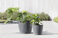 Ecopots Bloempot Amsterdam Ø20cm - Grijs - thumbnail
