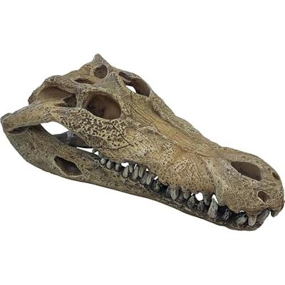 Deco crocodile l Repto - Repto Deco crocodile l Repto - Repto