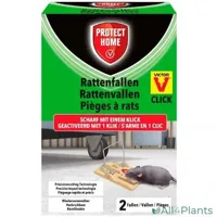 Protect Home Rattenval Plastic - Ongediertebestrijding - 2 stuks - thumbnail