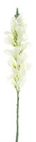Anthirrinum spray white 98cm - thumbnail