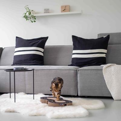 District 70 SNAKE - White