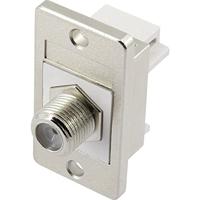 Renkforce RF-KS-RJ45T RJ45-moduledrager Keystone 1 stuk(s) - thumbnail