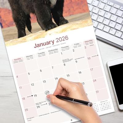 Newfoundlander Kalender 2026