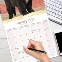 Newfoundlander Kalender 2026 - thumbnail