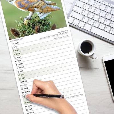 Owls Slim Calendar 2026 Bird Slimline Calendar - 12 Month