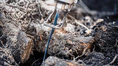 Bosch Accessories 2608900403 Expert Tough Wood S 1142 KHM reciprozaagblad, 1 stuks Zaagbladlengte 225 mm 1 stuk(s)