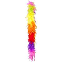 Regenboog Boa 50gr 180cm - thumbnail