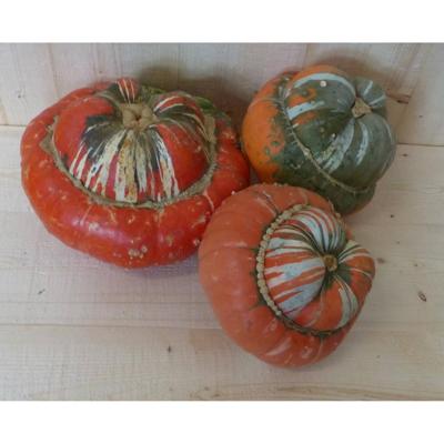 Turkse Muts Cucurbita Warentuin Natuurlijk - Warentuin natuurlijk