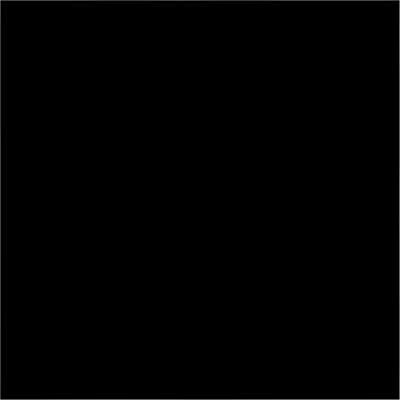 Bresser Y-9 Achtergrond Doek 2.5x3m Zwart