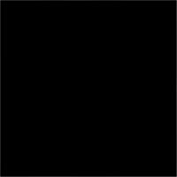 Kamera Express BG-2X3-ZW 2,50x3,0m zwart - thumbnail