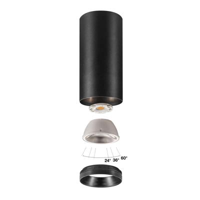 SLV OpbouwspotNuminos L cilinder zwart 3000K - 36gr - 1004323