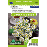 Kamille zaden echte Matricaria Recutita BIO - thumbnail