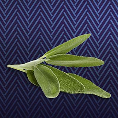 David Beckham - Classic Blue - EDT 40 ml