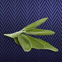 David Beckham - Classic Blue - EDT 40 ml - thumbnail