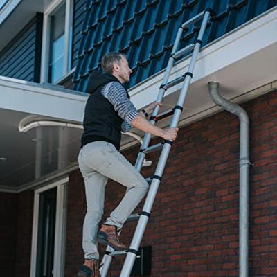Batavia Producten/telescoopladder 3 81m