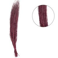 Bundel gedroogd coriander roze 70 cm | 36 stuks - thumbnail