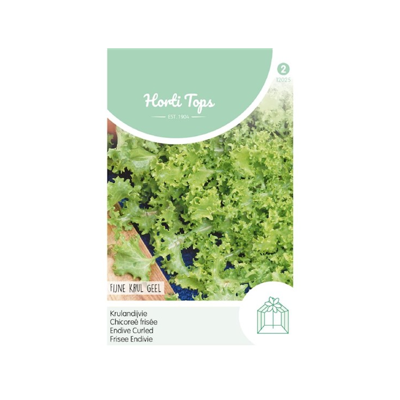 Zaden Andijvie Altijd Witte Hortitops - Hortitops