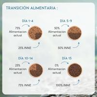 Nutrivet Inne Dog Atlantic hondenvoer 12 kg - thumbnail