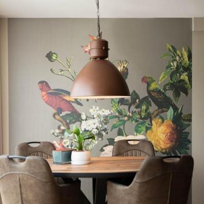 QAZQA Industriele hanglamp roest - Flynn