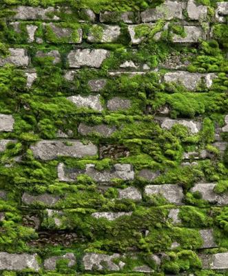 Noordwand Textura Behang stenen muur met mos - 1545731