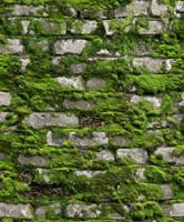 Noordwand Textura Behang stenen muur met mos - 1545731 - thumbnail