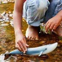 schleich WILD LIFE blauwe vinvis 14806 - thumbnail