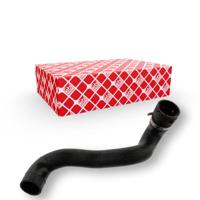 Radiateurslang 36146 - thumbnail