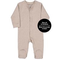 Pyjama Bruin - thumbnail