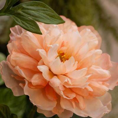 Kunst Pioentak 65cm Zalm