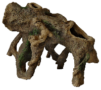 Staande Wortel M aquaria Superfish - Superfish - thumbnail